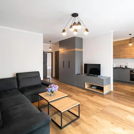 Pod Lasem Z Klimatyzacja I 2 Sypialniami - Dream Apartment Ustron