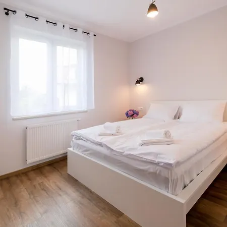 Pod Lasem Z Klimatyzacja I 2 Sypialniami - Dream Apartment Ustron